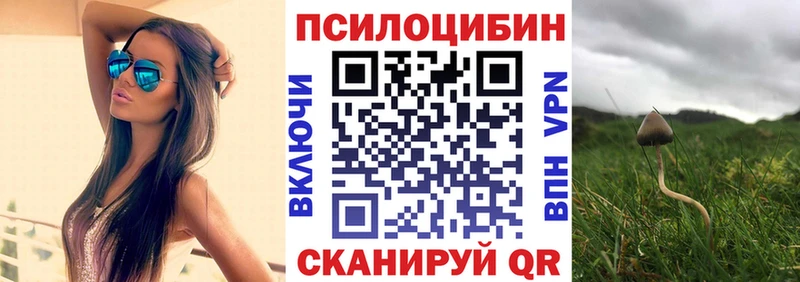 блэк спрут Воронеж Псилоцибиновые грибы мухоморы
